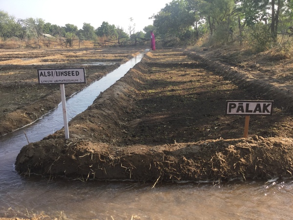 winter fodder 2015 600